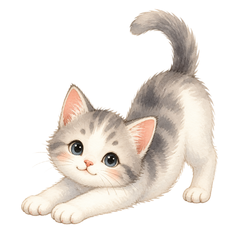 Playful kitten